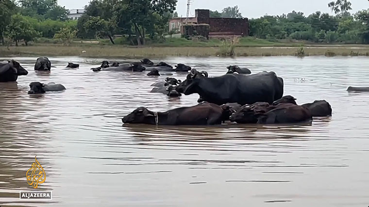 Devastating Floods in Pakistan Affect Four Million People